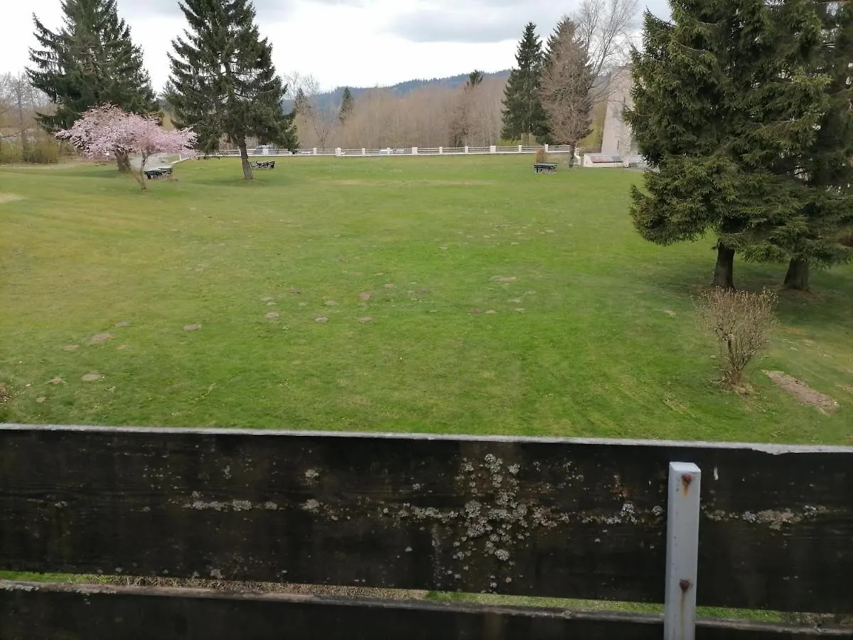 Apartment 2-Raum Appartement Saxo Sankt Englmar