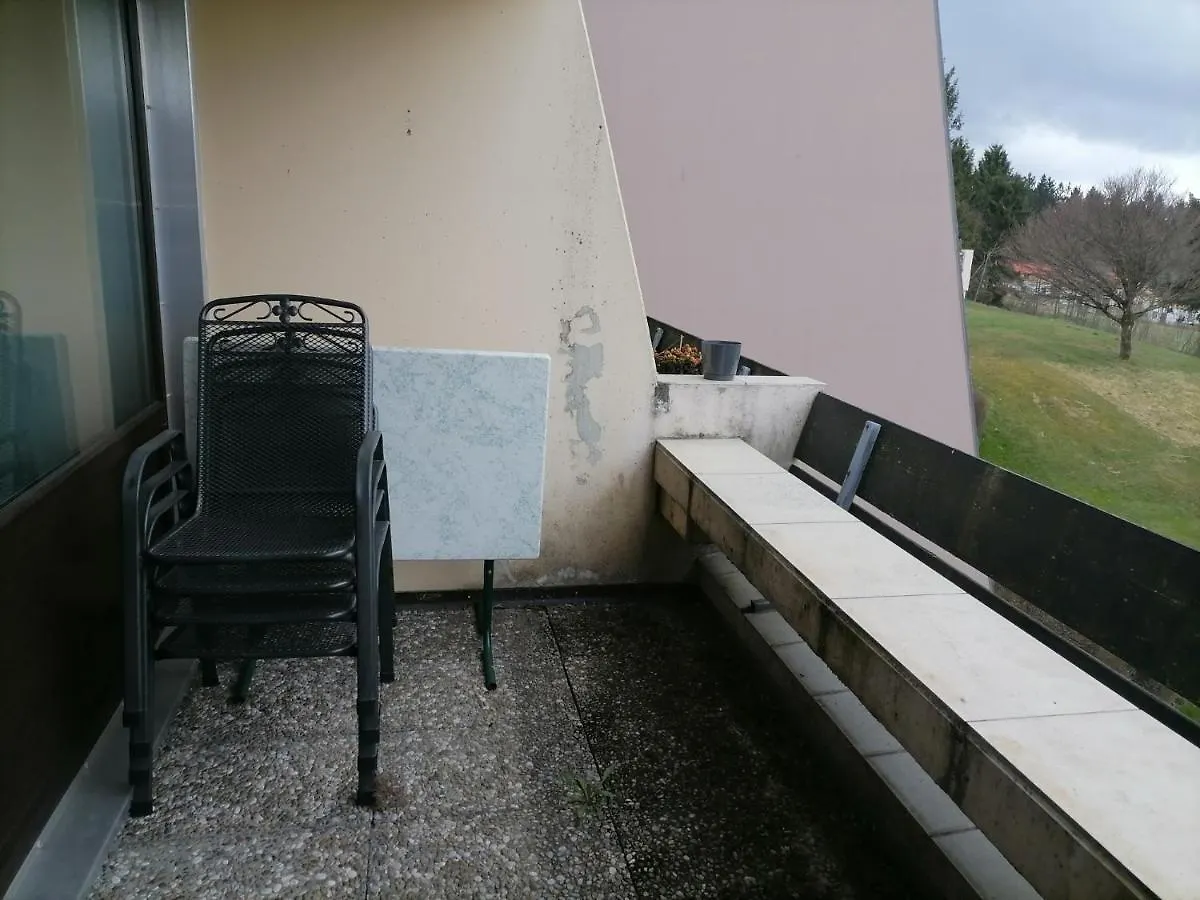2-Raum Appartement Saxo Sankt Englmar Germany